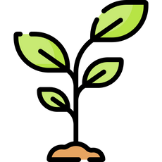 background shape